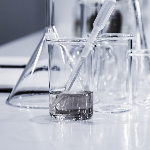 Science Activity